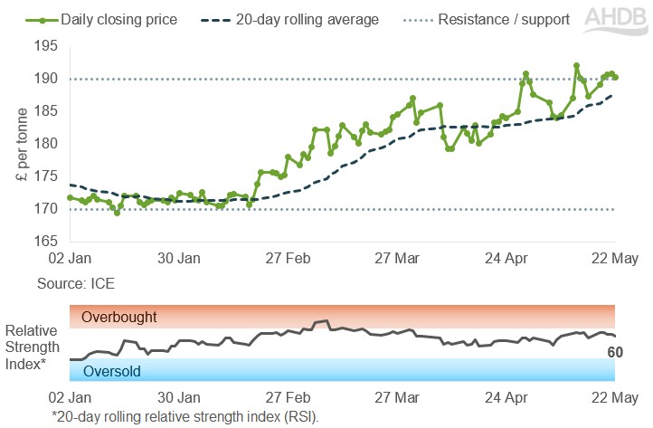 Line graph of UK feed futures Nov-26 contract prices over the past six months.